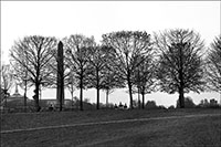 Obelisk and Trees